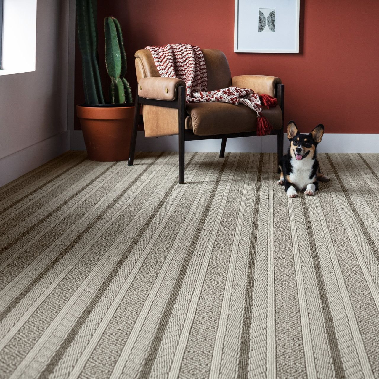 dog on striped carpet - Rickway Carpet in North Mankato, MN