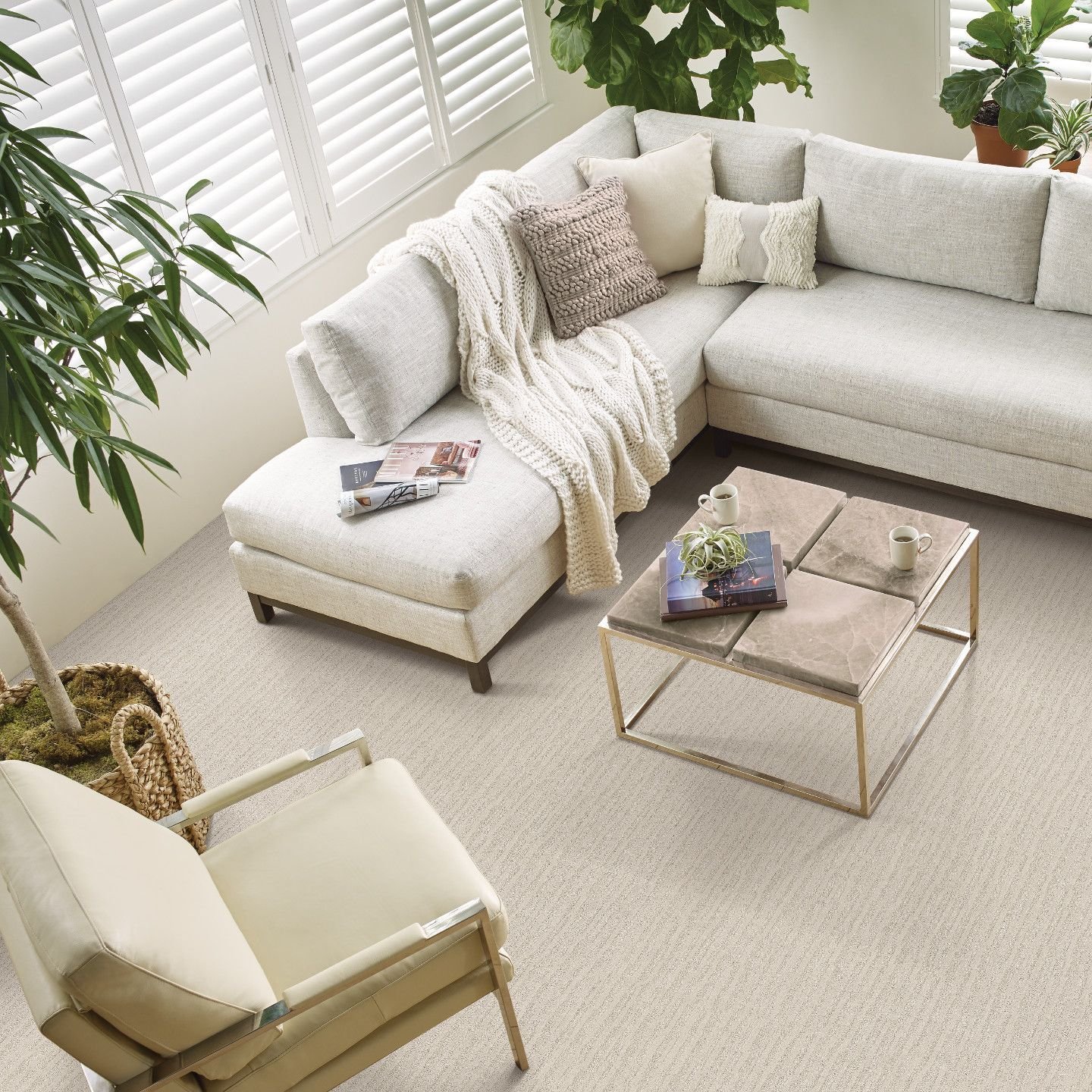 overhead view of L-shaped white soft in living room with carpet - Rickway Carpet in North Mankato, MN